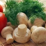 Using an Air Fryer for Frying Mushrooms