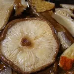 Mushrooms an Asian Cuisine