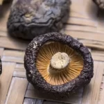 Remedy Mushrooms to Strengthen Immunity